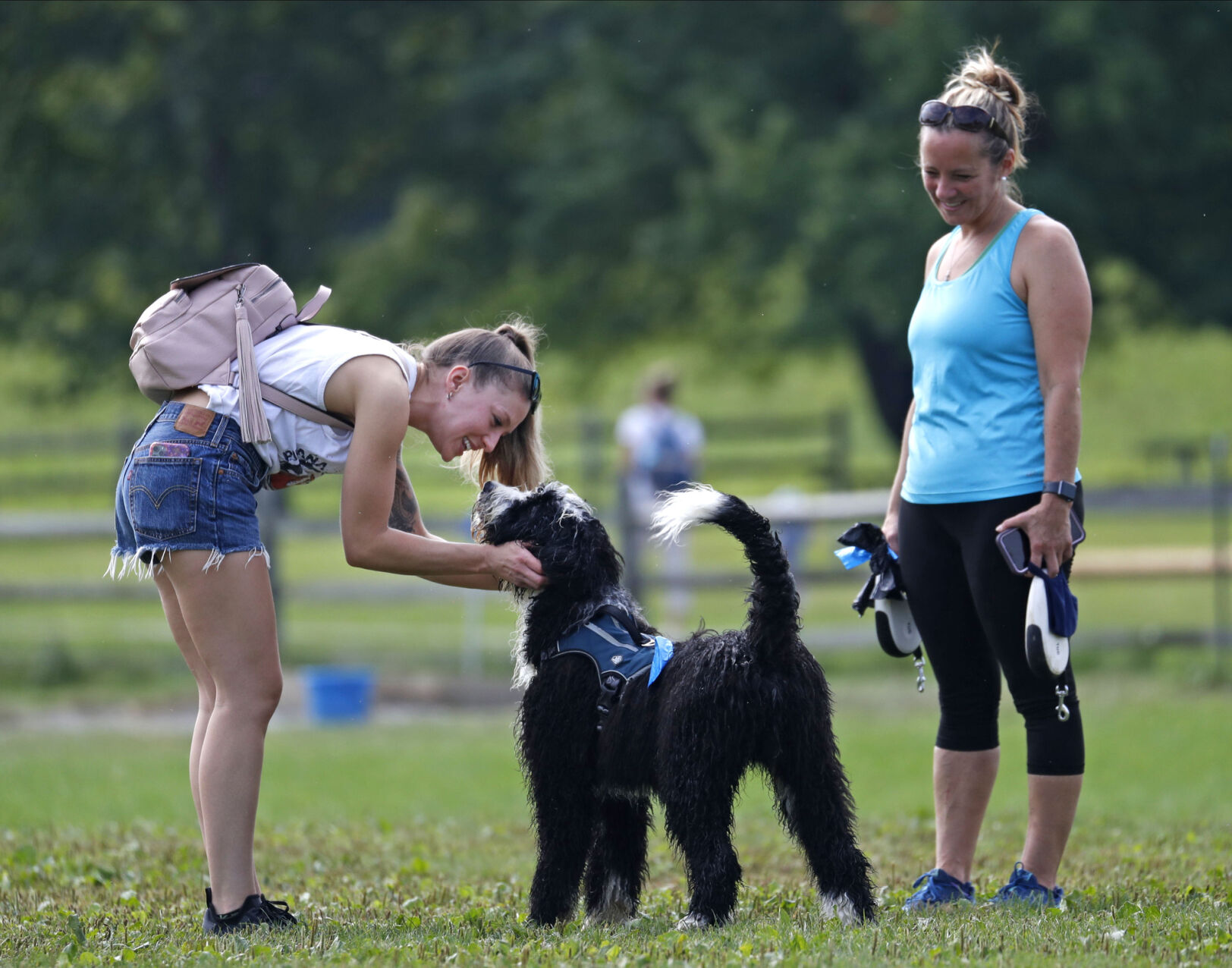 First time at dog park